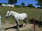 PICT0070