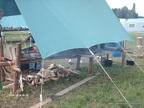 HPIM7826